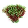 Ruilogod Aquarium Fish Bowl Artificial Grass Decor 12x14cm 3 Pieces view 1