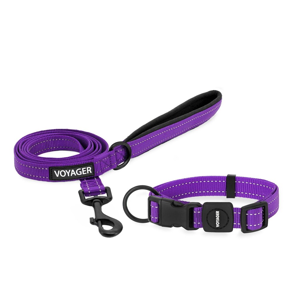 Best Pet Supplies Voyager Adjustable Dog Collar and Leash Set