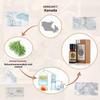 AKARZ Balsam Fir Essential Oil, Natural Organic, 10 mL view 2