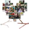 Joyivike Bird Perches for Parakeets view 3