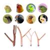 Joyivike Bird Perches for Parakeets view 4