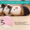 Hamster E-Collar Pet Recovery Collar view 2