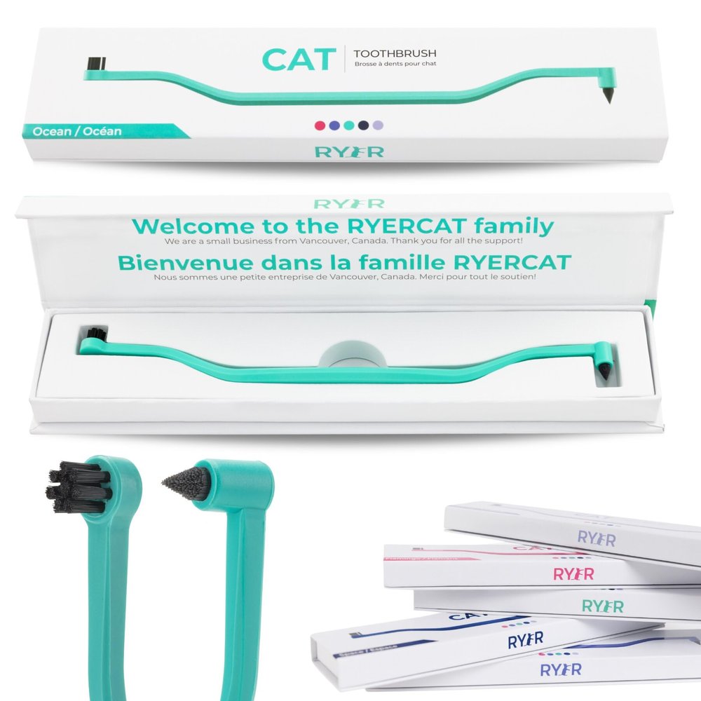 RYERCAT Cat Toothbrush, Micro Head for Kittens (Ocean Blue)