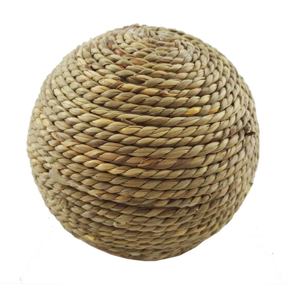 Blue Fish Rabbit Chew Toy Grass Ball