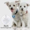 Uiopa 2-Pack Heart Zinc Alloy Personalized Pet ID Tags with Engraving, Green view 2