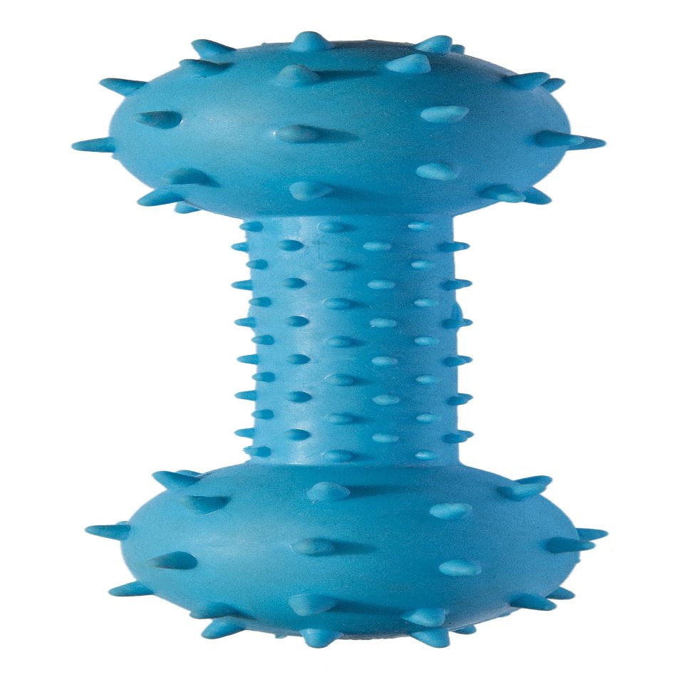 Rubber Bone Dog Toy with Rattle
