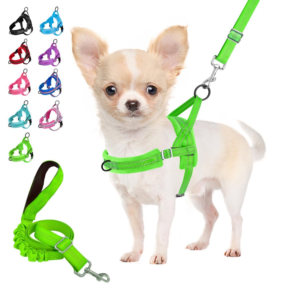 Eyein Lightweight Dog Harness with Leash for Small to Medium Dogs