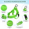 Eyein Lightweight Dog Harness with Leash for Small to Medium Dogs view 3