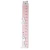 Valenti & Co Wooden Height Chart, Pink, for Children, with Zoo Animals and Silver Details view 1