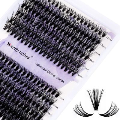 WENDY LASHES 30D/40D C Curl Cluster Lash Extensions, 240 Pieces