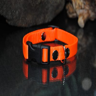 Nylon Collar 15mm Neon Orange Collie