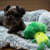 Nobby Plush Broccoli, 25 cm, 1 Piece view 3