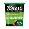 Knorr Hungarian Goulash Soup | 12.5 Liters view 2