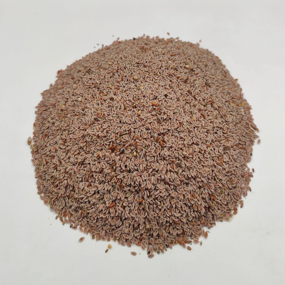 Dried Psyllium Seeds 85 g–1.95 kg – Plantago indica (950 grams)