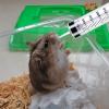 Large Pet Feeding Syringe, 300 ml view 4