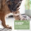 ReaVET Multivitamin for Dogs, 300 g | Vitamin Complex Powder view 4