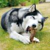 Schecker Dried Goose Necks for Dogs – Regional Chew Snack view 3
