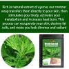 Wonderposted Wormwood Abdomen Patches, Natural Extract, 30 Pieces view 3