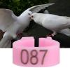 Cyrank 100 Pack Pigeon Rings, 8 mm Numbered Plastic Leg Bands (Pink) view 2