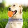 Dog Toy, Spiky Ball, Small Dogs, Squeaky, Chew Toy (Orange), 2 Pack view 4