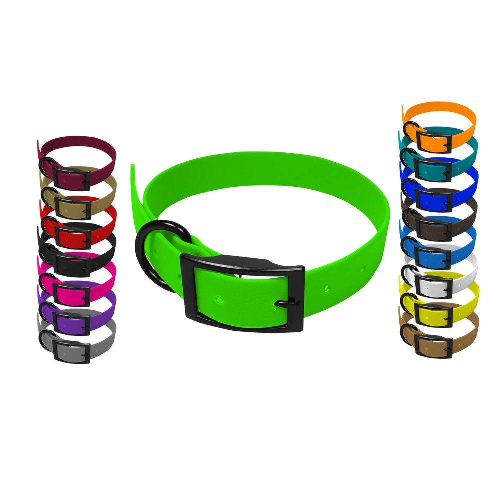 Canicrafter Dog Collar with Double Steel Buckle, Black (2.5 x 60 cm, green)