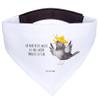 Mr. & Mrs. Panda Dog Bandana Raven Sombrero view 1