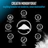 GEN GERMAN ELITE NUTRITION Creatine Powder - 300 g - Creatine Monohydrate view 4