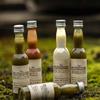 Northern Greens Organic Liquid Rosemary, 40 g, Pack of 6 view 3