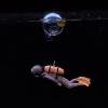 MISNODE Floating Aquarium Decoration - 2 Pack view 2