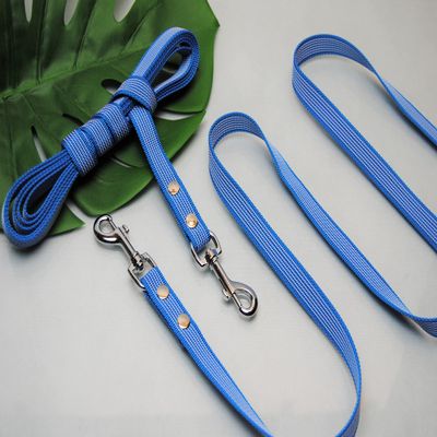 Rubberized Leash 1m x 20mm with Loop Turquoise Training Leash
