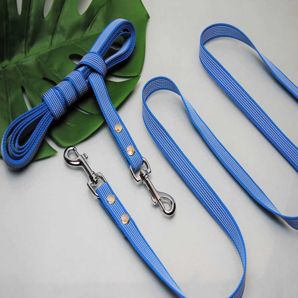 Rubberized Leash 1m x 20mm with Loop Turquoise Training Leash