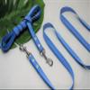 Rubberized Leash 1m x 20mm with Loop Turquoise Training Leash view 1