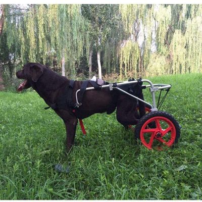 Samnuerly 2-Wheel Adjustable Dog Wheelchair for Hind-Leg Rehabilitation