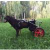 Samnuerly 2-Wheel Adjustable Dog Wheelchair for Hind-Leg Rehabilitation view 1