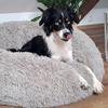 Nobby 62802 Donut Bed Classic ESLA Dark Gray; D x H: 90 x 29 cm view 4