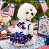 Petitebelle USA Twins Dog Dress with Heart Pattern, White/US Stars, Size S view 3