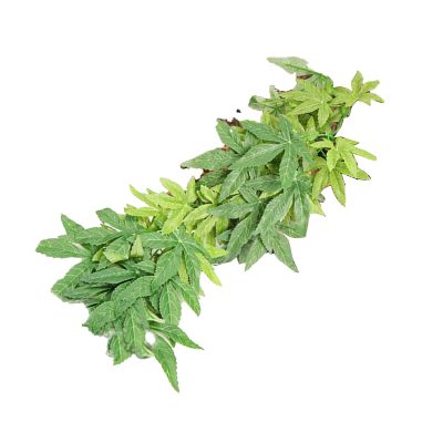 Artificial Aquarium Plants - Leaf Simulation