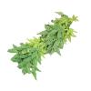 Artificial Aquarium Plants - Leaf Simulation view 1