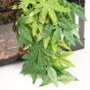 Artificial Aquarium Plants - Leaf Simulation view 4