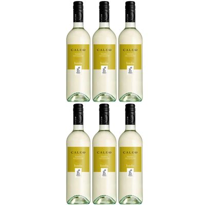 Casa Vinicola Botter Inzolia Caleo Sicily IGT Dry White Wine, Italy, with FeinWert E-Book (6 x 0.75 L)