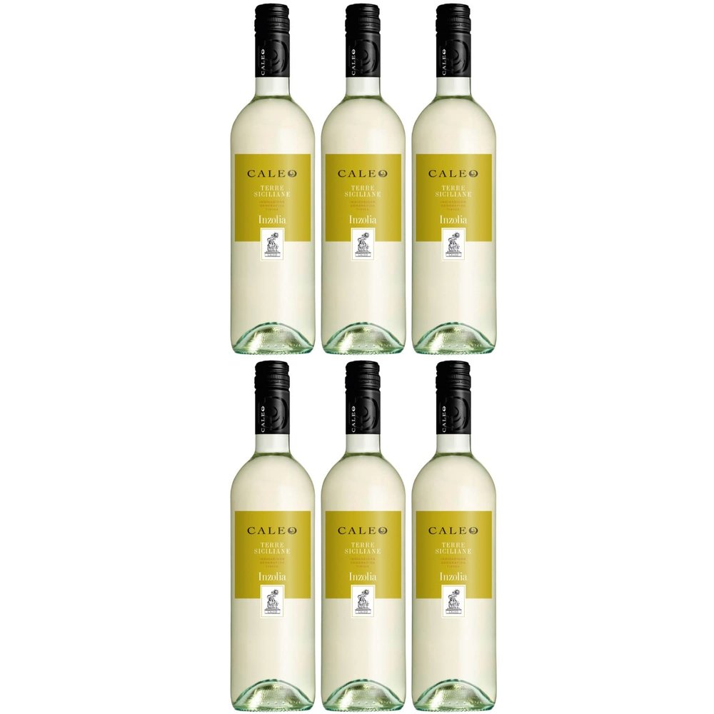 Casa Vinicola Botter Inzolia Caleo Sicily IGT Dry White Wine, Italy, with FeinWert E-Book (6 x 0.75 L)