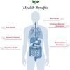 Foods For Gut Lactobacillus johnsonii Probiotic Powder, 100 Billion CFU, No Additives, 30 g view 4