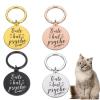 Personalized Anti-Lost ID Tag for Pets, Stainless Steel, Silver, 30 x 33.5 mm view 3
