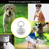 Personalized Anti-Lost ID Tag for Pets, Stainless Steel, Silver, 30 x 33.5 mm view 4
