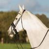 ARBO-INOX Terry Cloth Chin Pad for Horses with Rhinestones view 3