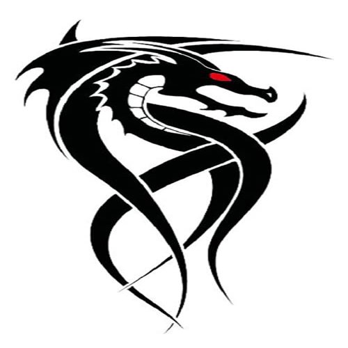 JSHEN 7-Sheet Temporary Tattoos, Abstract Dragon and Astronaut Designs, 6 x 10.5 cm