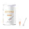 caoxhenr Artemia Shell-Free Eggs Fish Food, 150 ml, for Small Tropical and Baby Fish view 1