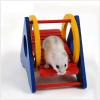 Rainbow Swing Hamster Toy view 2