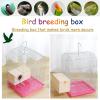Wooden Budgie Nesting Box with 3 Perches, 25 x 13 x 13 cm view 3