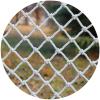 LXLIGHTS 6 mm Child Safety Net for Stairs and Railings, 1 x 6 m, 10 cm Mesh view 4